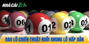 Bao lô chiến thuật nuôi khung lô tỷ lệ ăn trúng tới 80%