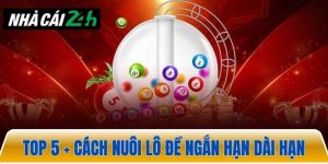 Top 5+ cách nuôi lô đề ngắn hạn dài hạn hiệu quả hiện nay