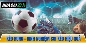 Kèo rung – kinh nghiệm soi kèo đạt hiệu quả cao