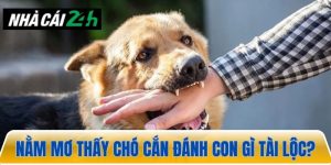 Nằm mơ thấy chó cắn đánh đề gì để ăn ngay tiền tỷ?