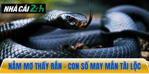 Nằm mơ thấy rắn – Con số may mắn và phát tài nhất